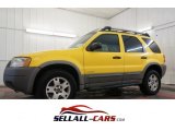 2002 Chrome Yellow Ford Escape XLT V6 4WD #99862498