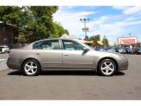 Polished Pewter Metallic Nissan Altima in 2005