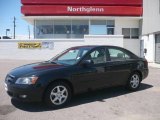 2006 Ebony Black Hyundai Sonata LX V6 #9959434