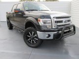 2014 Tuxedo Black Ford F150 XLT SuperCrew 4x4 #99929501