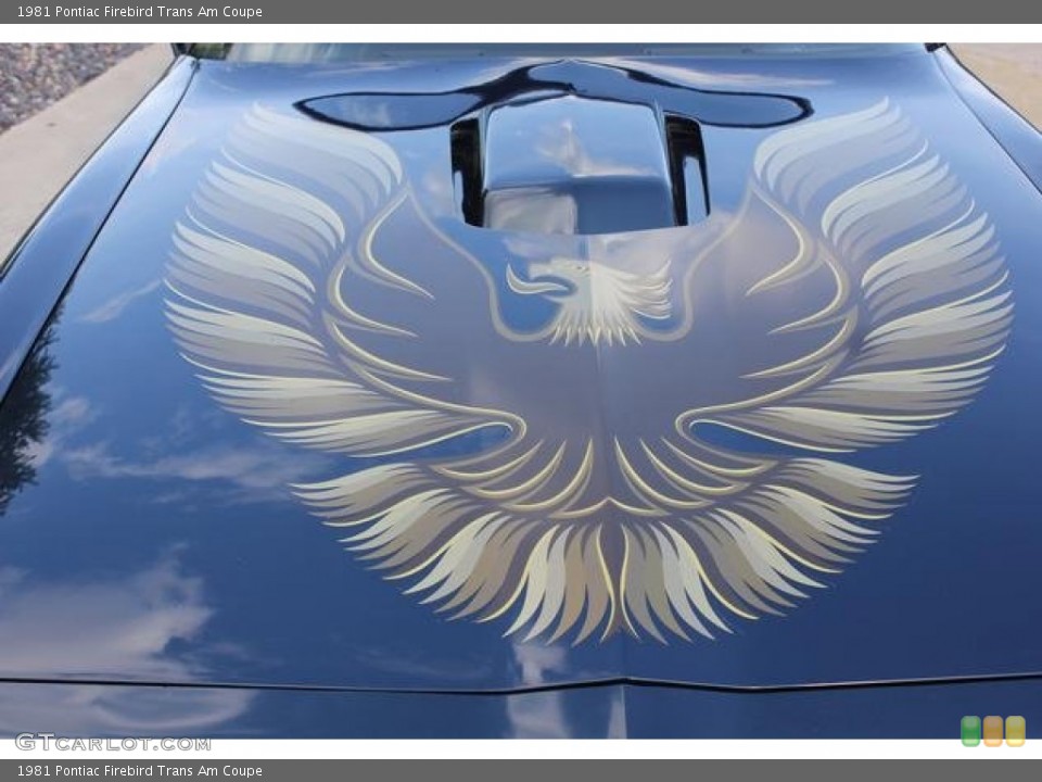 1981 Pontiac Firebird Custom Badge and Logo Photo #100751980