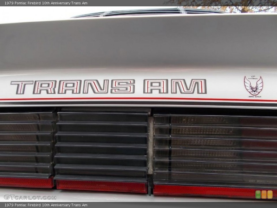 1979 Pontiac Firebird Custom Badge and Logo Photo #101828016