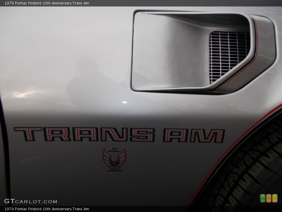 1979 Pontiac Firebird Custom Badge and Logo Photo #101828061