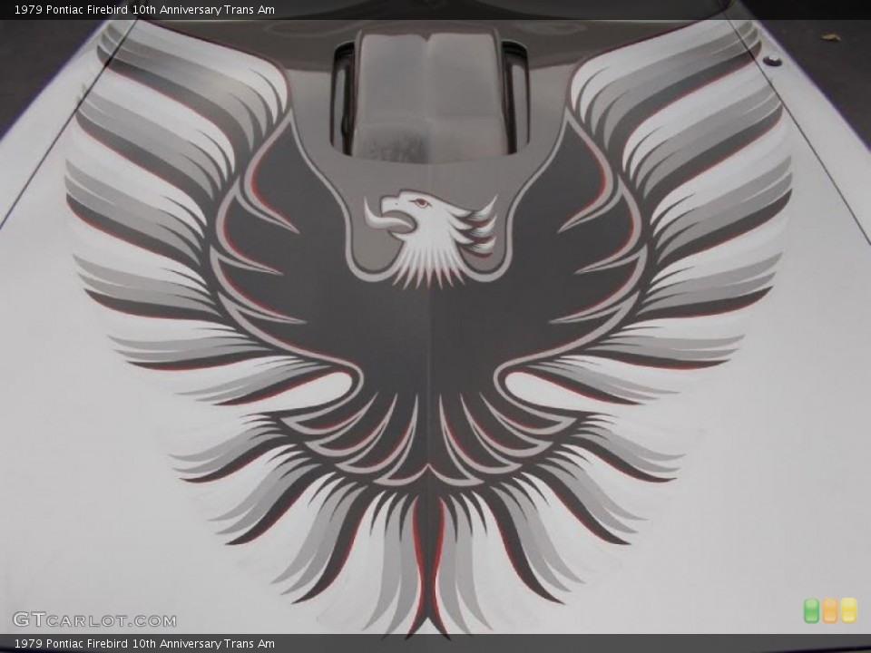 1979 Pontiac Firebird Custom Badge and Logo Photo #101828088