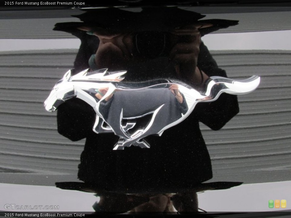 2015 Ford Mustang Custom Badge and Logo Photo #101989919