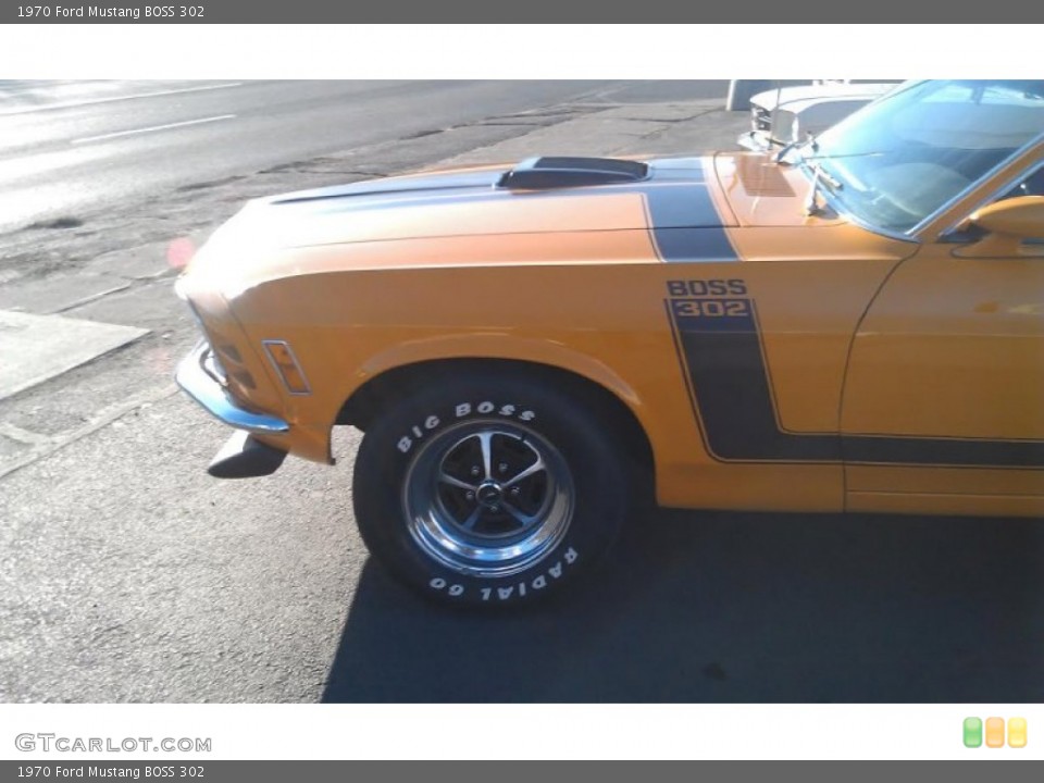 1970 Ford Mustang Custom Badge and Logo Photo #102311152