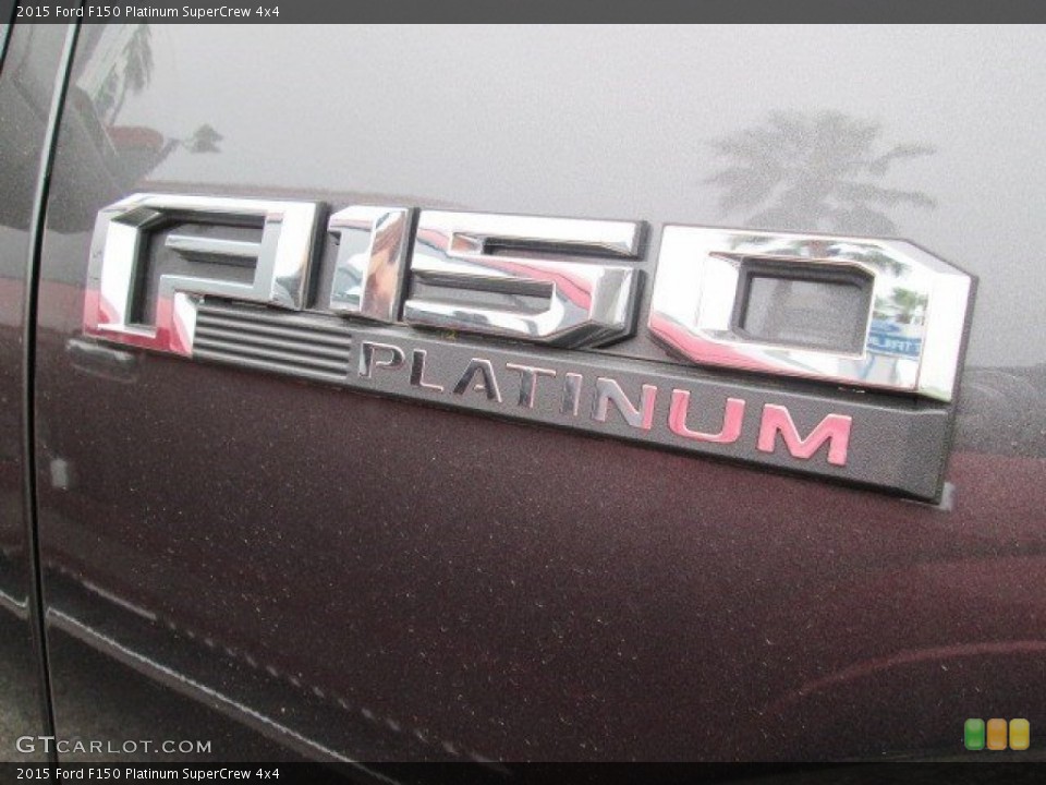 2015 Ford F150 Custom Badge and Logo Photo #102781490
