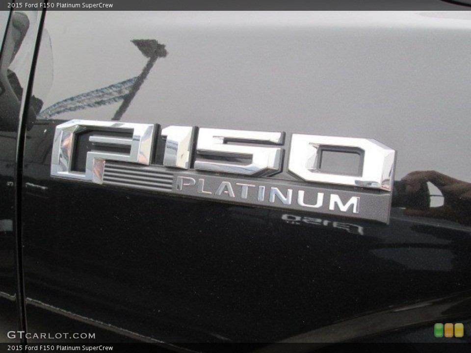 2015 Ford F150 Custom Badge and Logo Photo #102782561