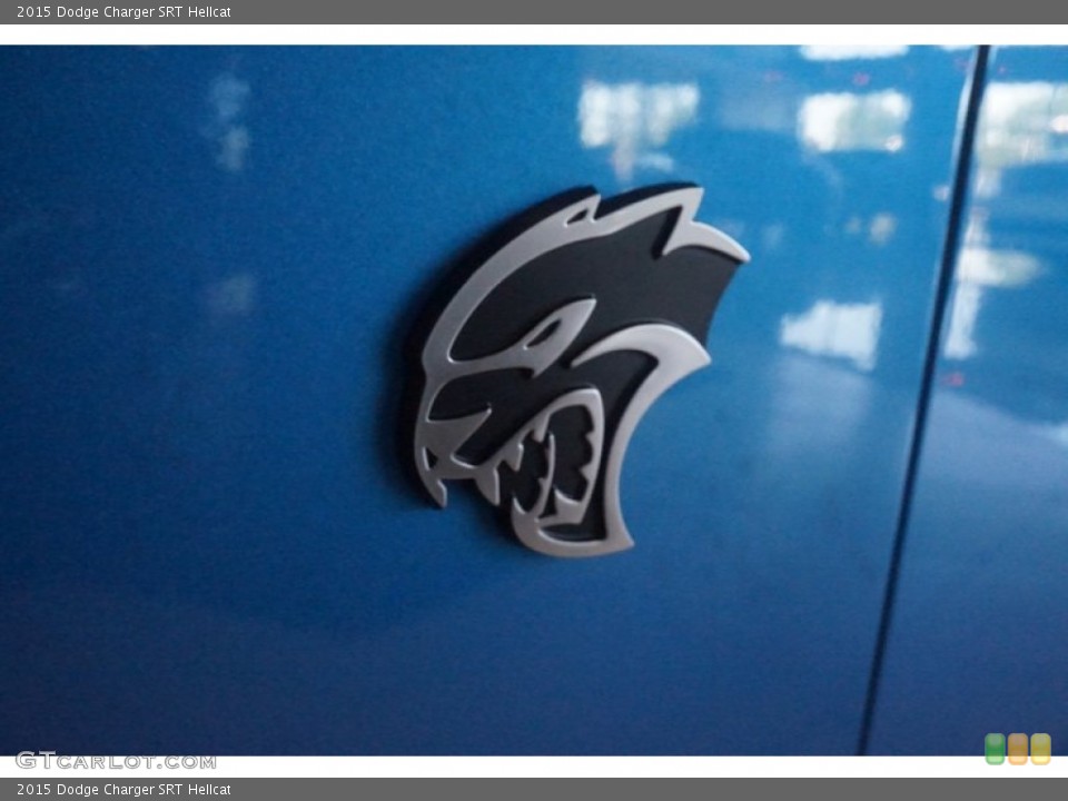 2015 Dodge Charger Custom Badge and Logo Photo #103582017