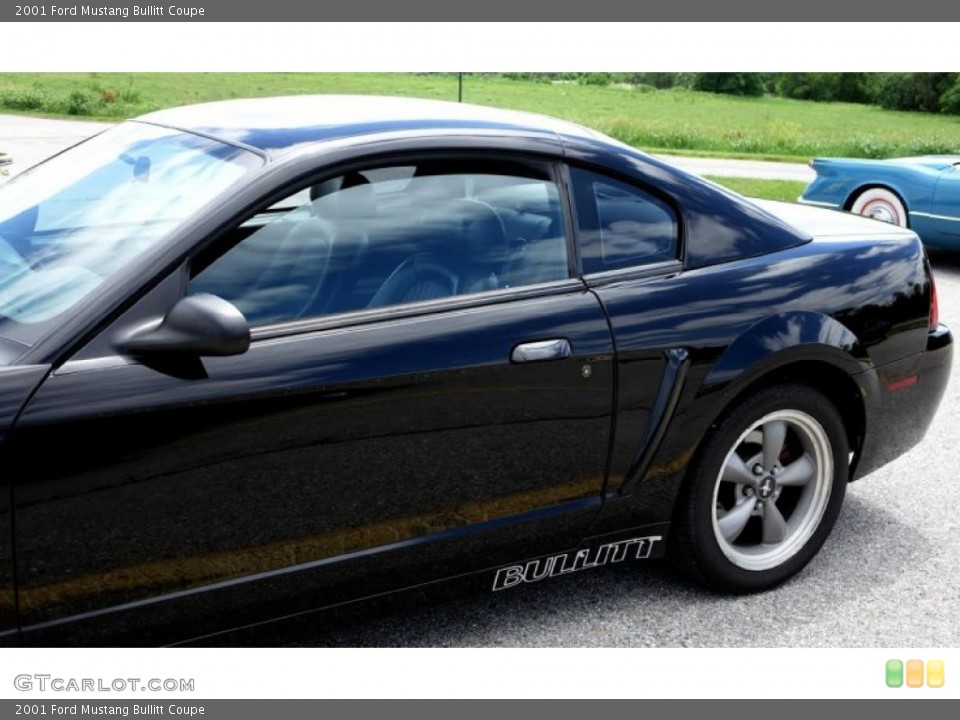 2001 Ford Mustang Custom Badge and Logo Photo #105216020