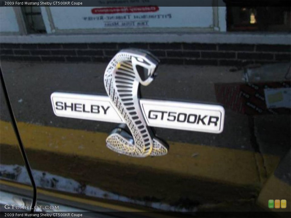 2009 Ford Mustang Custom Badge and Logo Photo #10617476