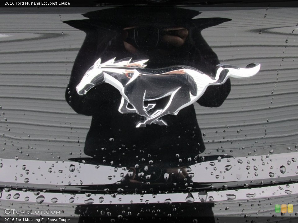 2016 Ford Mustang Custom Badge and Logo Photo #109090195