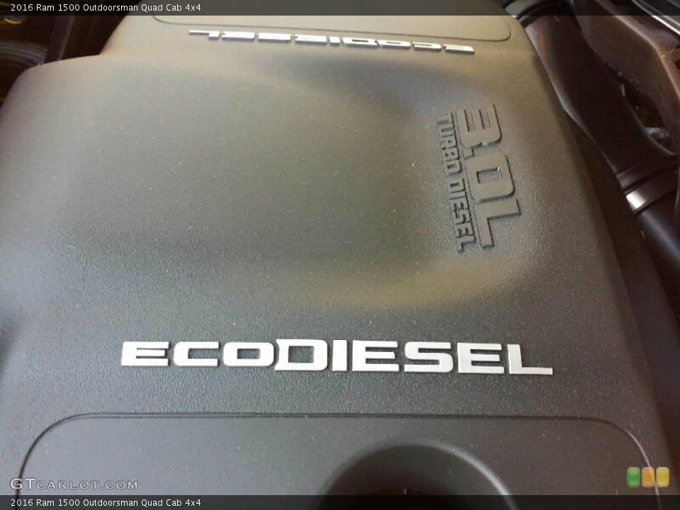 2016 Ram 1500 Custom Badge and Logo Photo #111237029