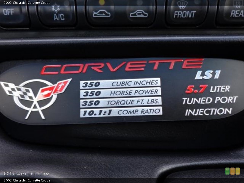 2002 Chevrolet Corvette Custom Badge and Logo Photo #111259834