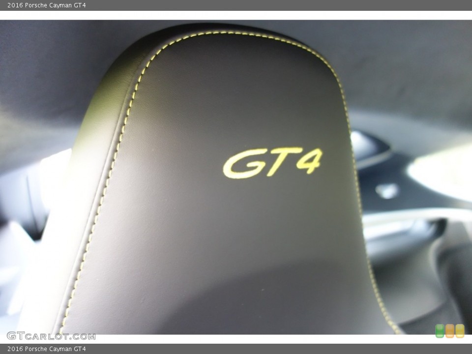 2016 Porsche Cayman Custom Badge and Logo Photo #112886946