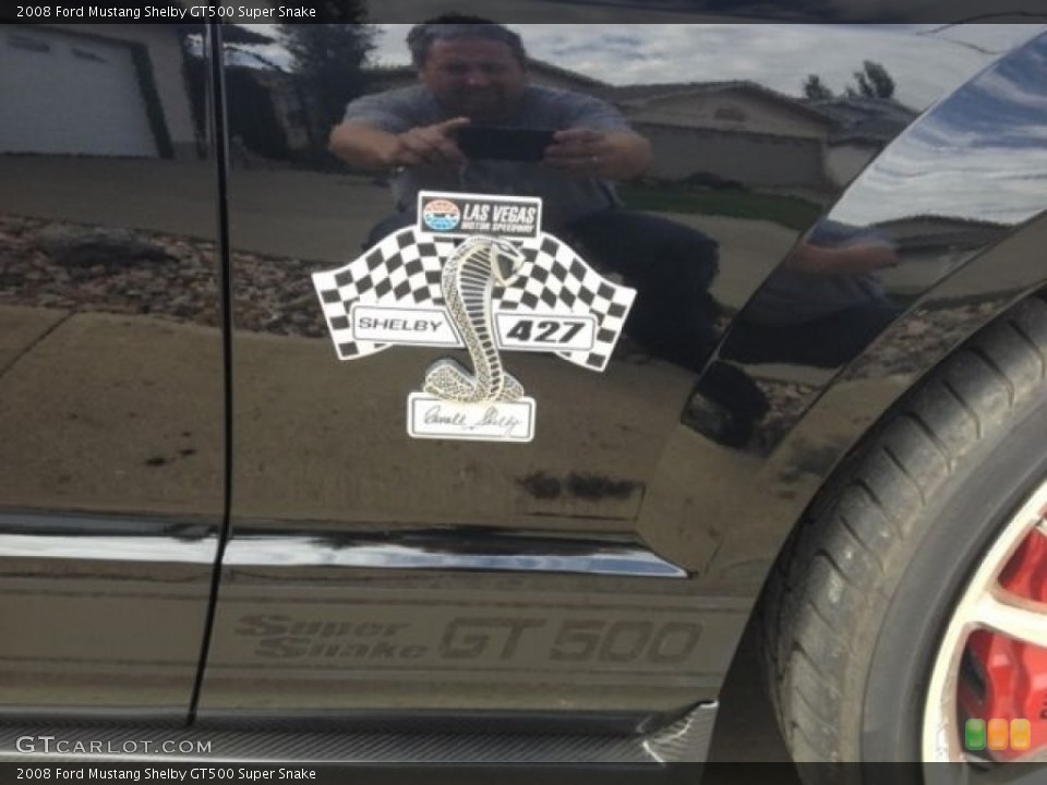 2008 Ford Mustang Custom Badge and Logo Photo #113651534
