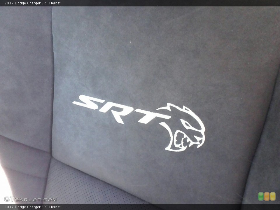 2017 Dodge Charger Custom Badge and Logo Photo #117135188