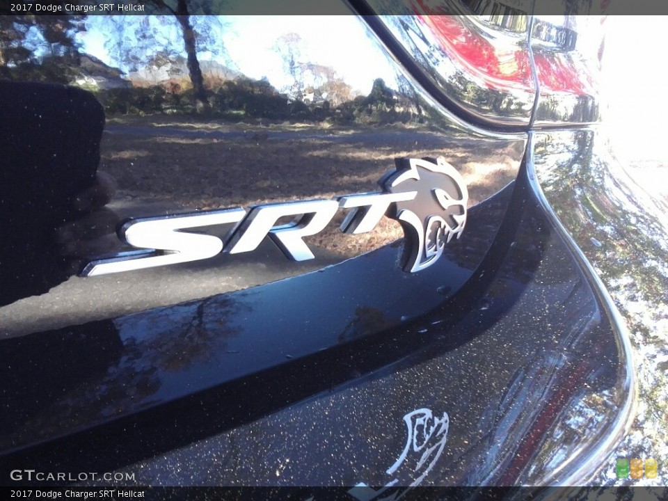 2017 Dodge Charger Custom Badge and Logo Photo #117135713