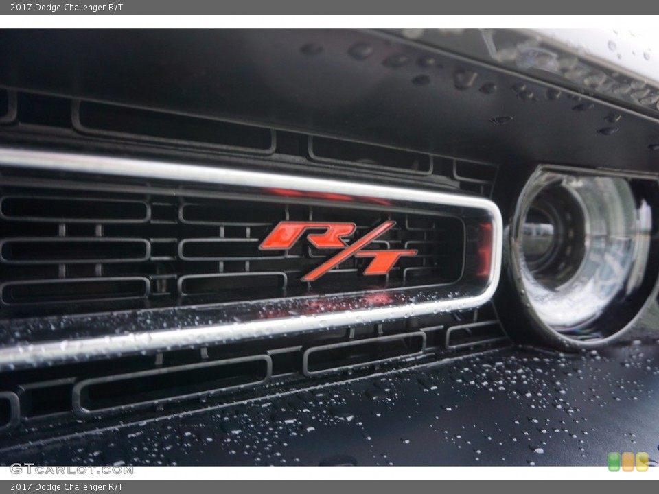 2017 Dodge Challenger Custom Badge and Logo Photo #117375442
