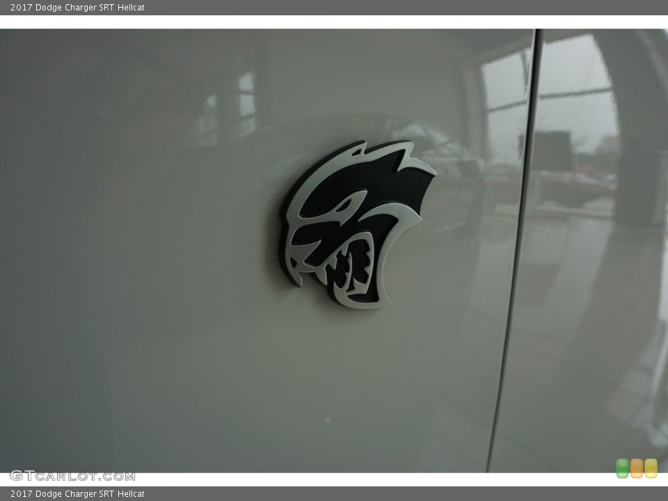 2017 Dodge Charger Custom Badge and Logo Photo #117637722