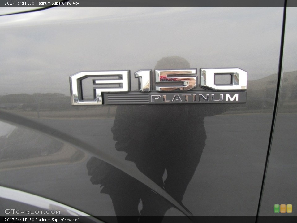 2017 Ford F150 Custom Badge and Logo Photo #117993586