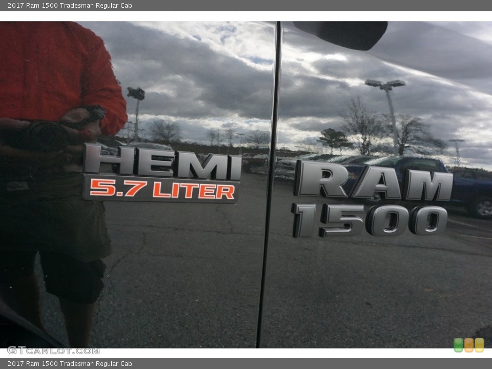 2017 Ram 1500 Custom Badge and Logo Photo #118069839