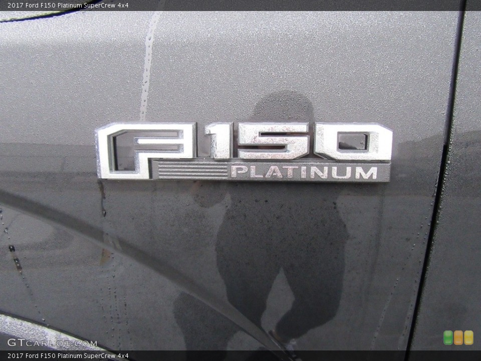 2017 Ford F150 Custom Badge and Logo Photo #118240280