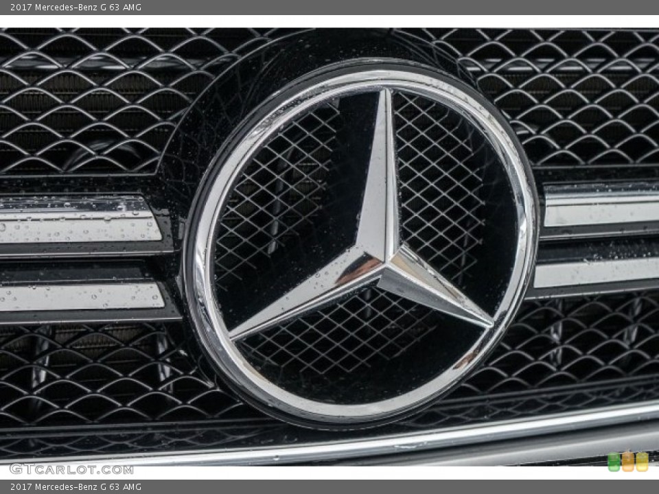 2017 Mercedes-Benz G Custom Badge and Logo Photo #118318787