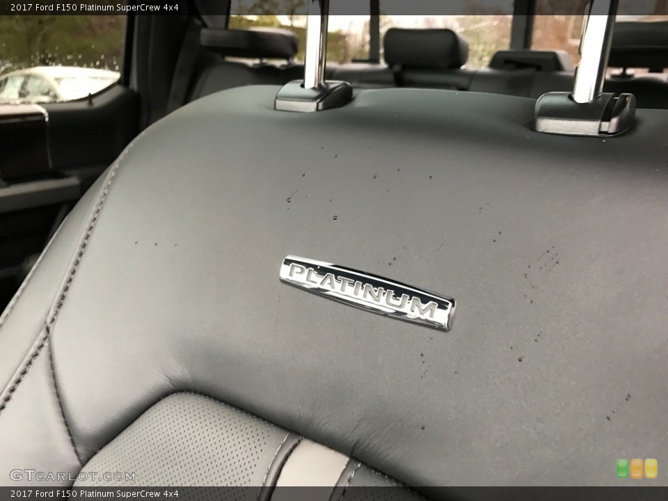 2017 Ford F150 Custom Badge and Logo Photo #118433935