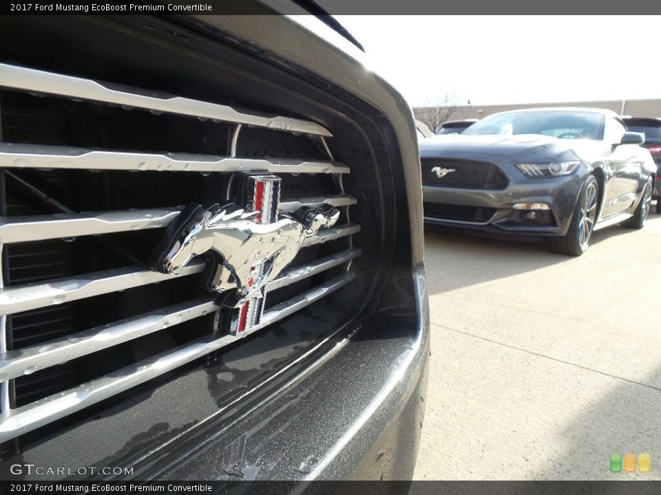 2017 Ford Mustang Custom Badge and Logo Photo #118901216