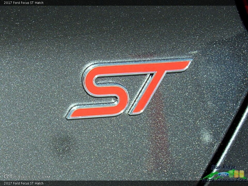 2017 Ford Focus Custom Badge and Logo Photo #119064089