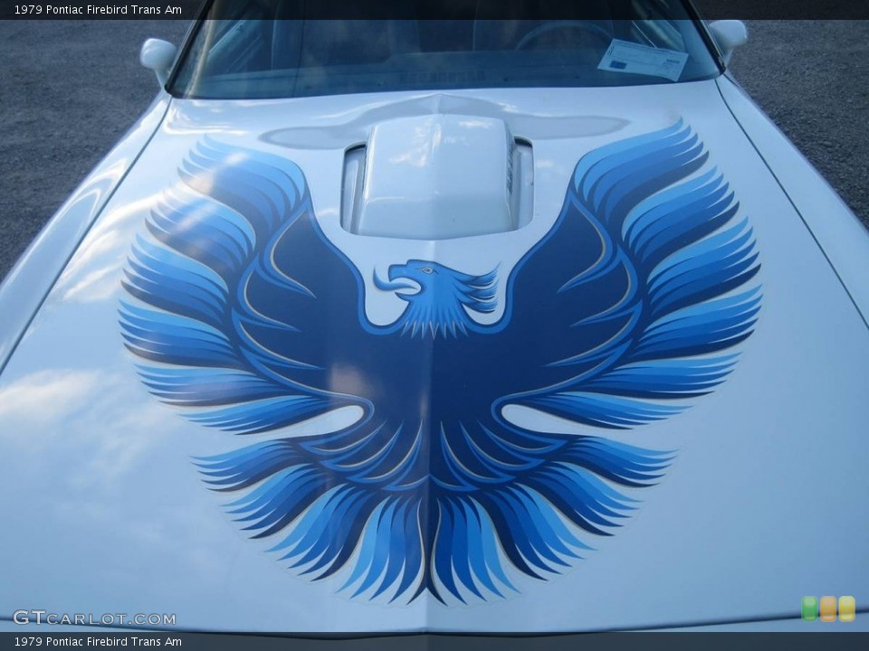 1979 Pontiac Firebird Custom Badge and Logo Photo #119135696