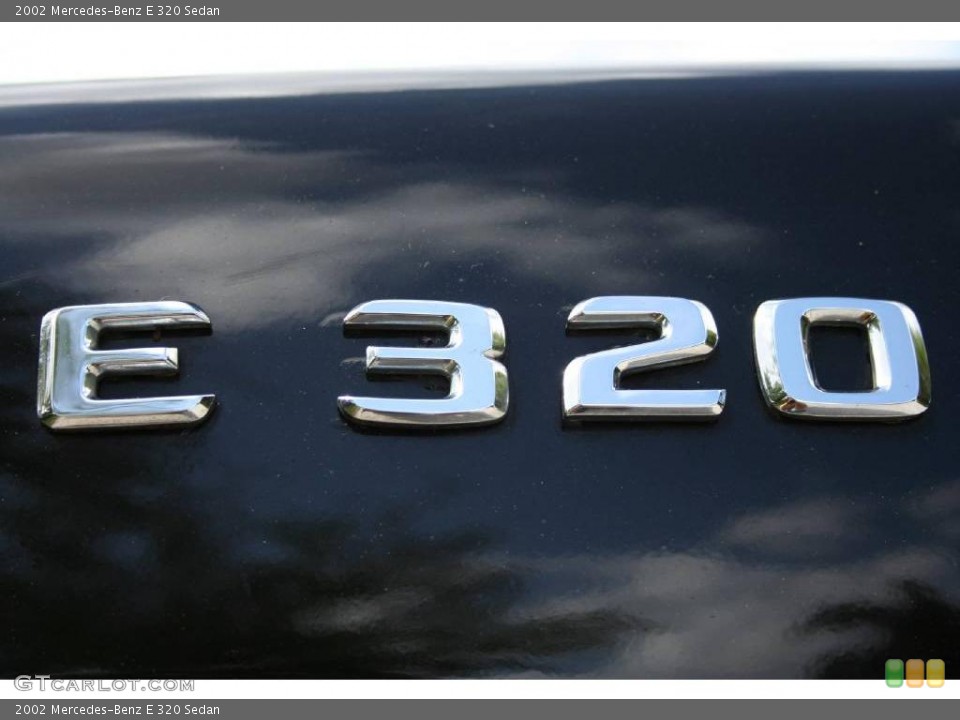 2002 Mercedes-Benz E Custom Badge and Logo Photo #11921252