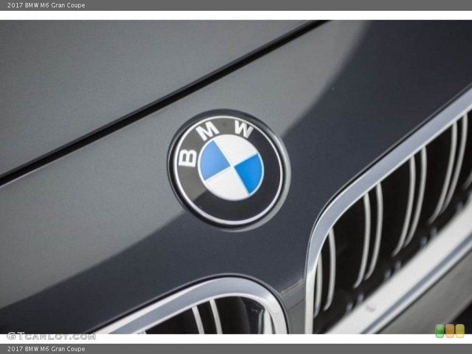 2017 BMW M6 Custom Badge and Logo Photo #120392014