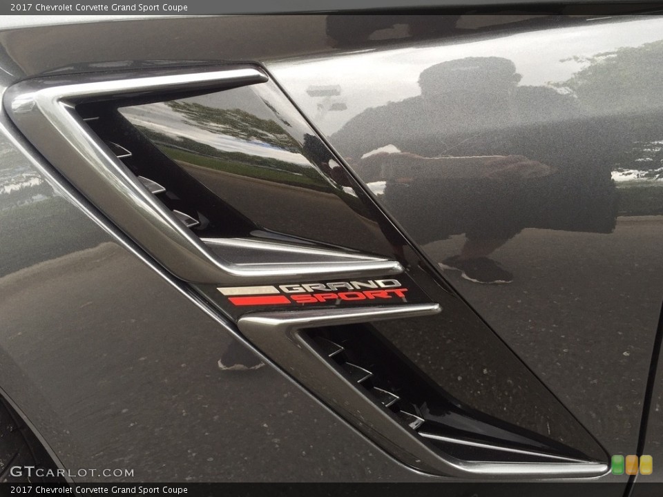 2017 Chevrolet Corvette Custom Badge and Logo Photo #120459893