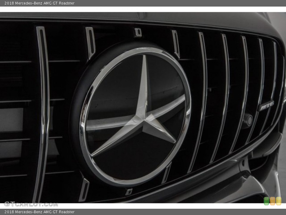 2018 Mercedes-Benz AMG GT Custom Badge and Logo Photo #121536016
