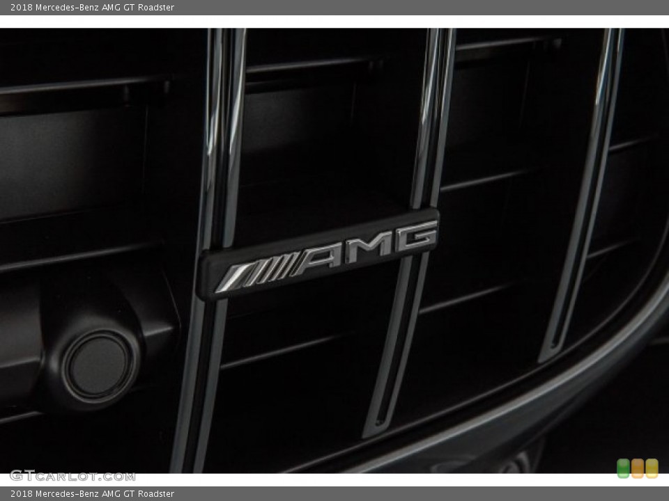 2018 Mercedes-Benz AMG GT Custom Badge and Logo Photo #121536029