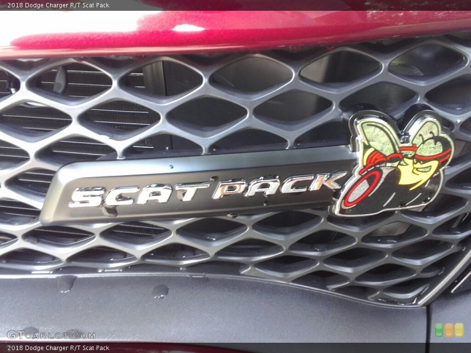 2018 Dodge Charger Custom Badge and Logo Photo #122382715