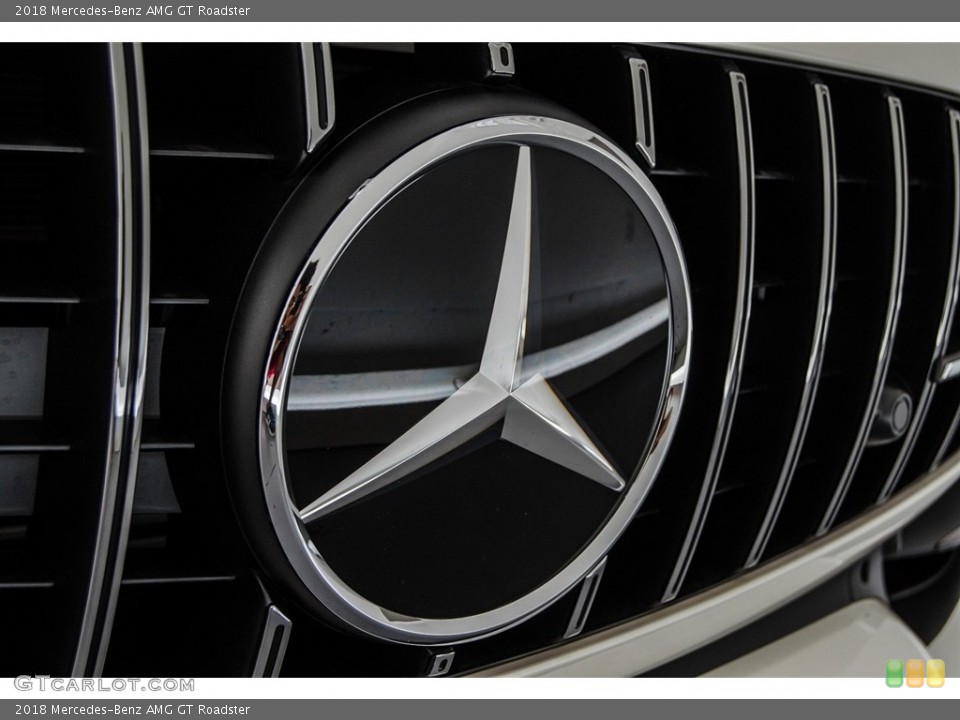 2018 Mercedes-Benz AMG GT Custom Badge and Logo Photo #123195456