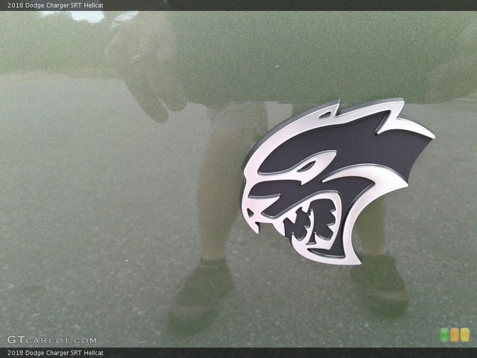 2018 Dodge Charger Custom Badge and Logo Photo #123643717