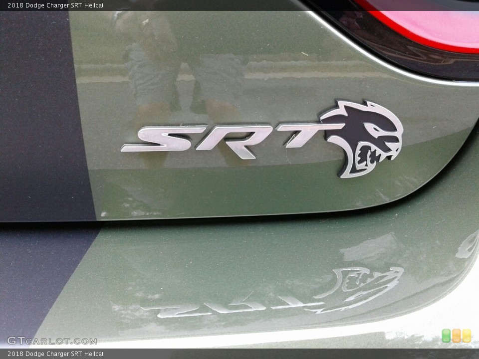 2018 Dodge Charger Custom Badge and Logo Photo #123643741