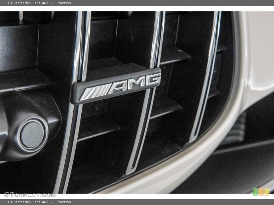 2018 Mercedes-Benz AMG GT Custom Badge and Logo Photo #124625722