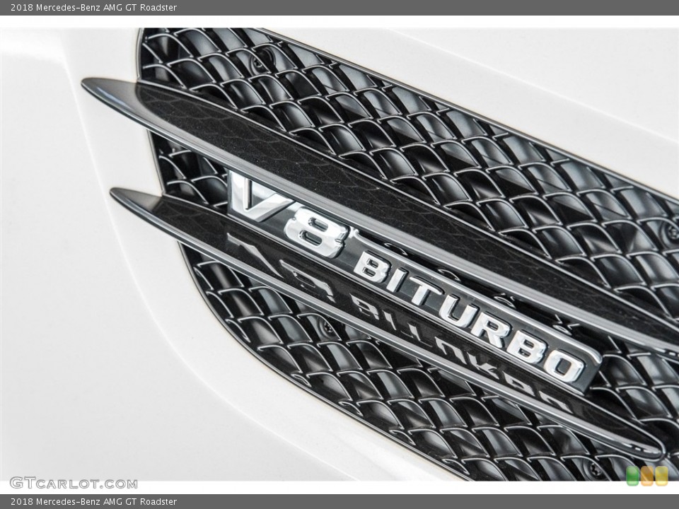 2018 Mercedes-Benz AMG GT Custom Badge and Logo Photo #124625782