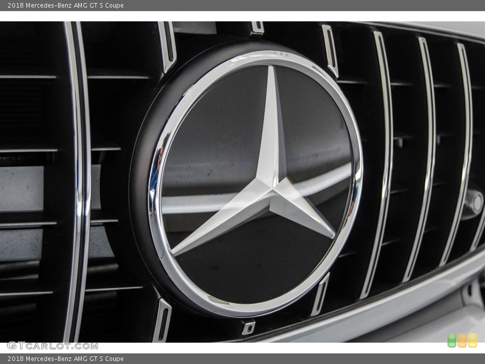 2018 Mercedes-Benz AMG GT Custom Badge and Logo Photo #124956667