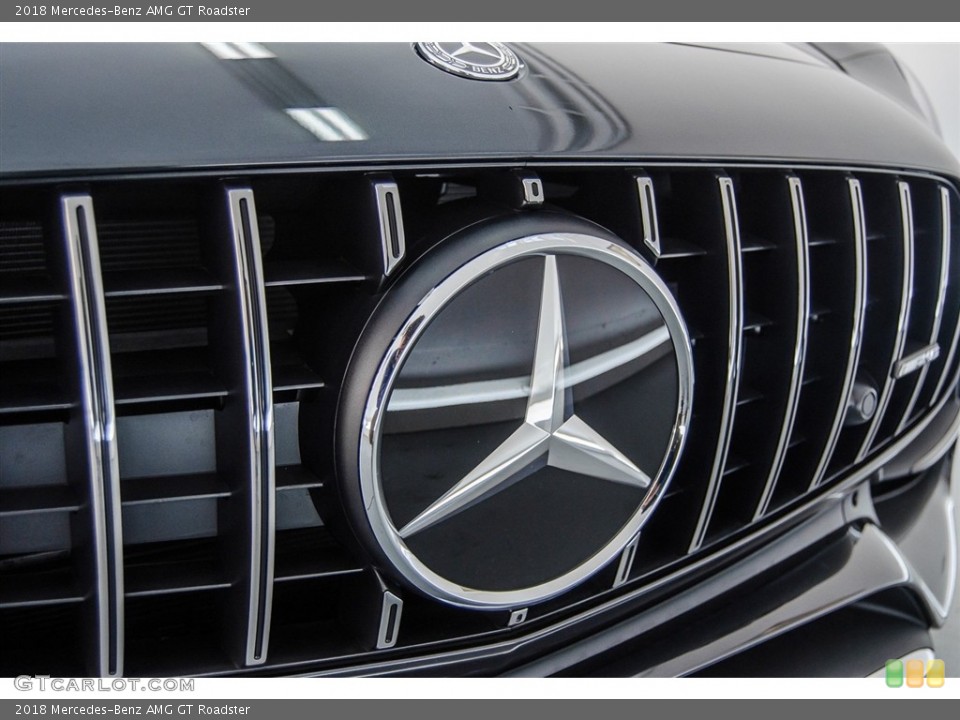 2018 Mercedes-Benz AMG GT Custom Badge and Logo Photo #126861562