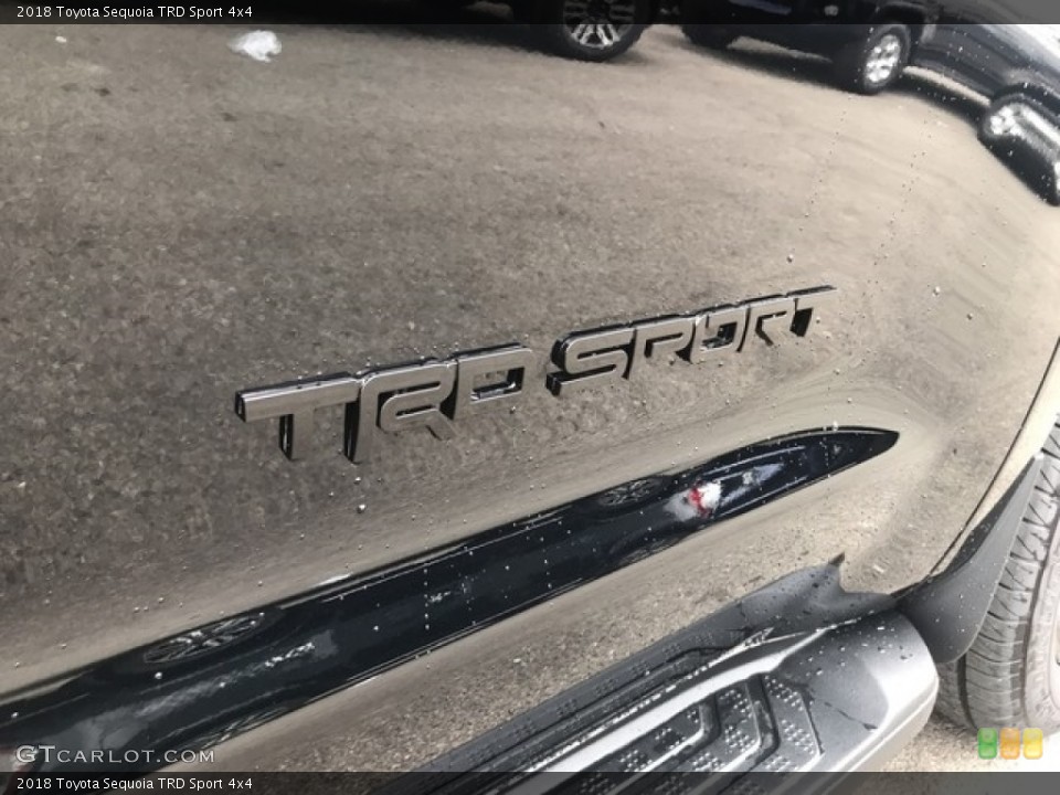 2018 Toyota Sequoia Custom Badge and Logo Photo #127795679