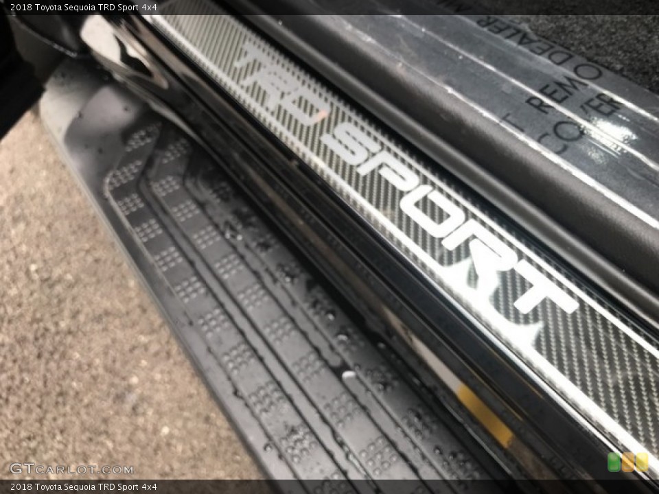 2018 Toyota Sequoia Custom Badge and Logo Photo #127795841