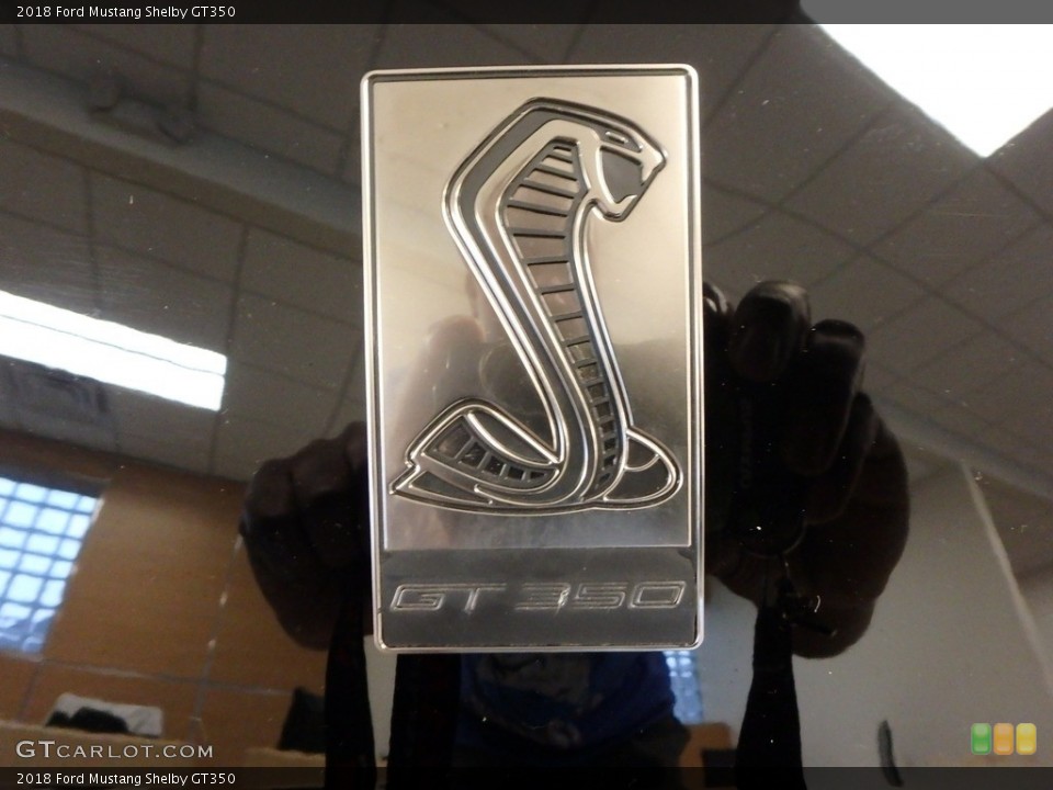 2018 Ford Mustang Custom Badge and Logo Photo #128469092