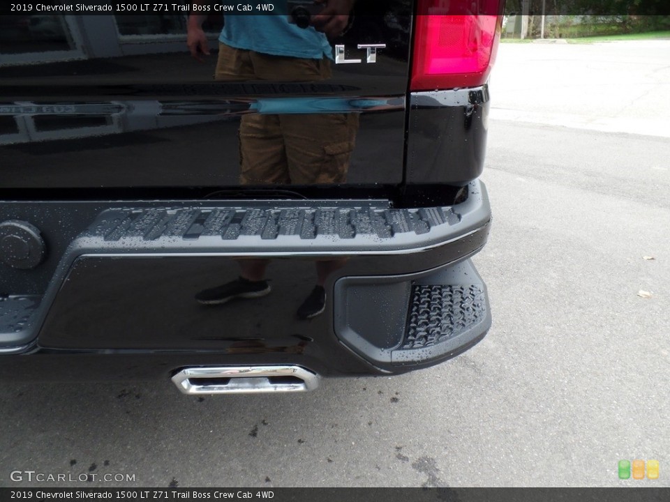 2019 Chevrolet Silverado 1500 Custom Badge and Logo Photo #129507933