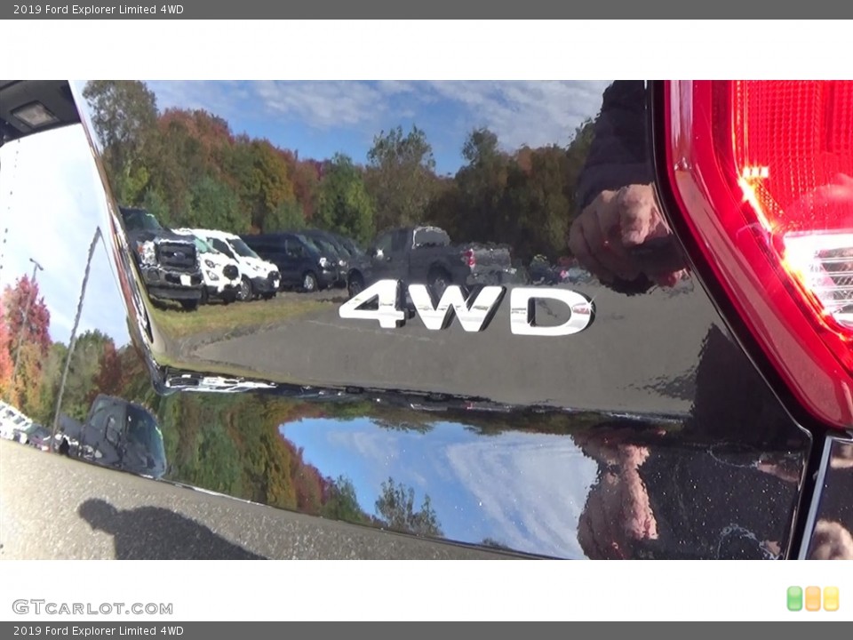 2019 Ford Explorer Custom Badge and Logo Photo #130142130
